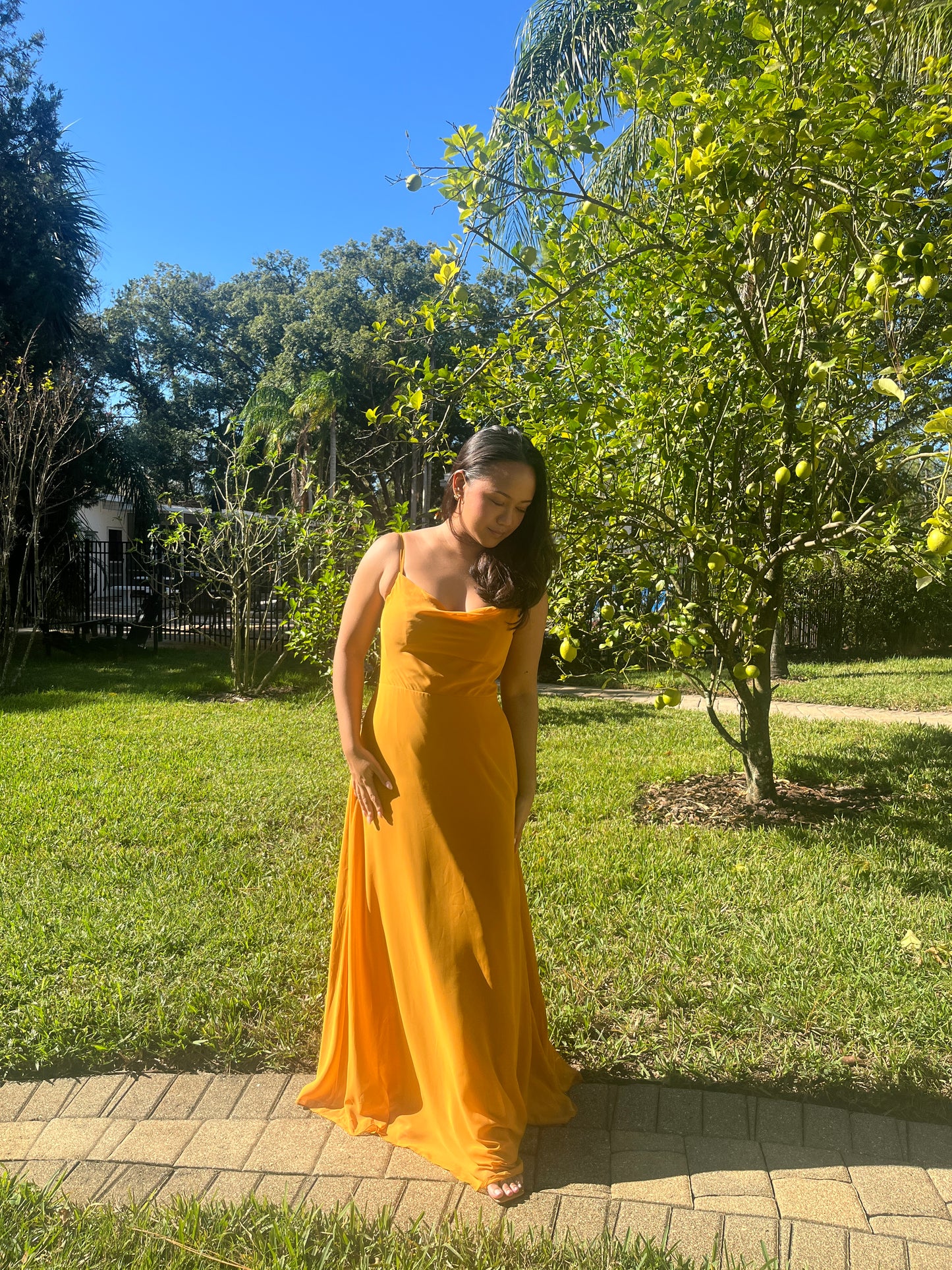 Cowl Neckline Full Skirt Dress