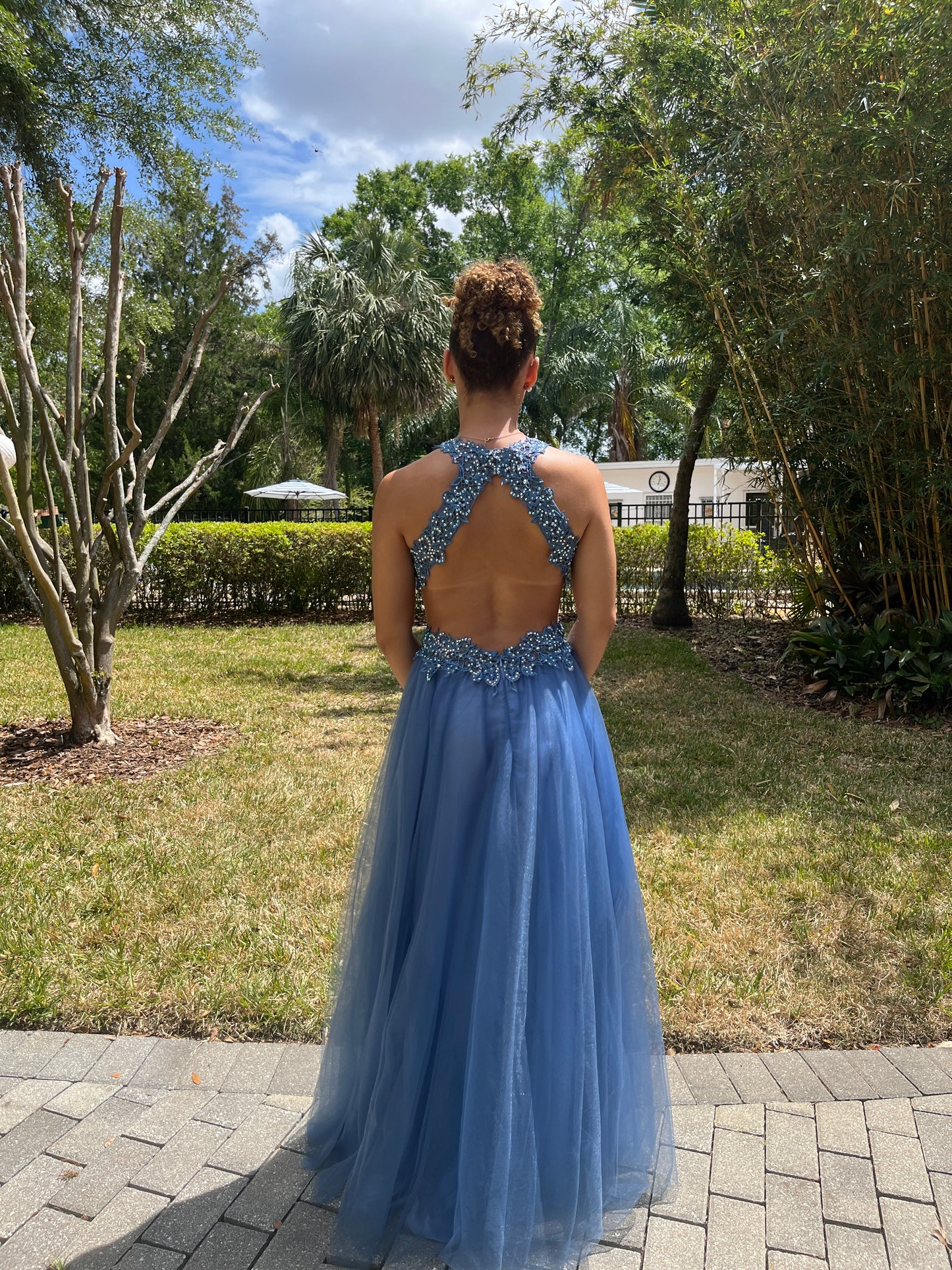 Beaded Tulle Backless Gown