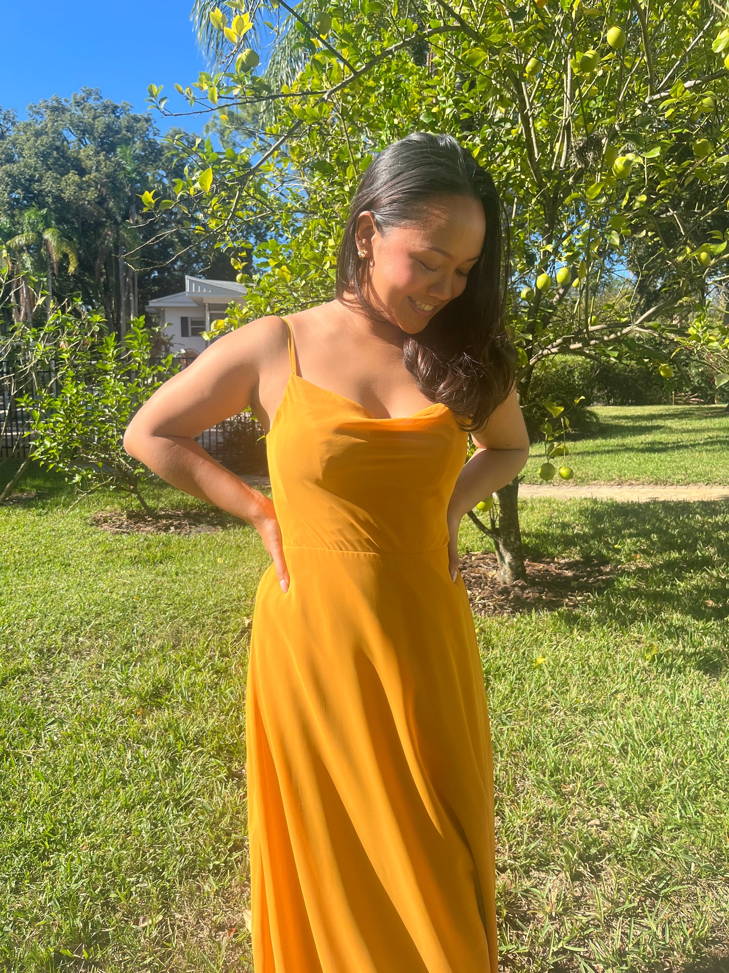Cowl Neckline Full Skirt Dress