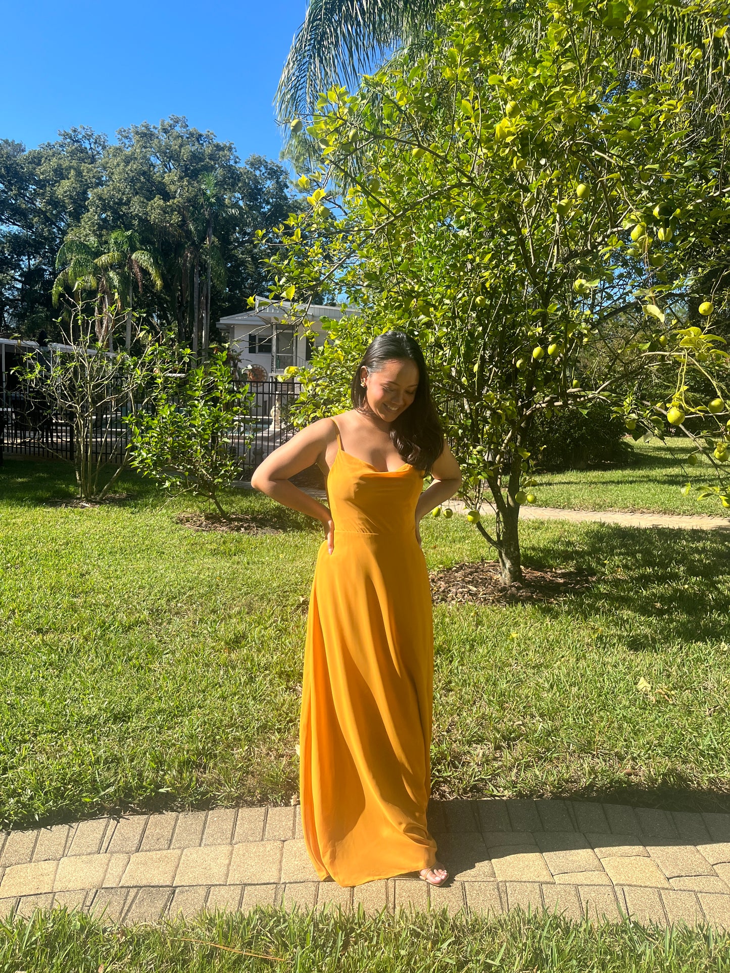 Cowl Neckline Full Skirt Dress